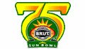 brut sun bowl 2009 2010 College Football Bowl Schedule